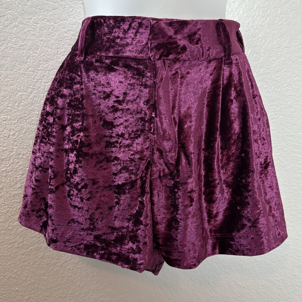 Free People Roma Velvet Shorts Size Small NWOT - Picture 3 of 9